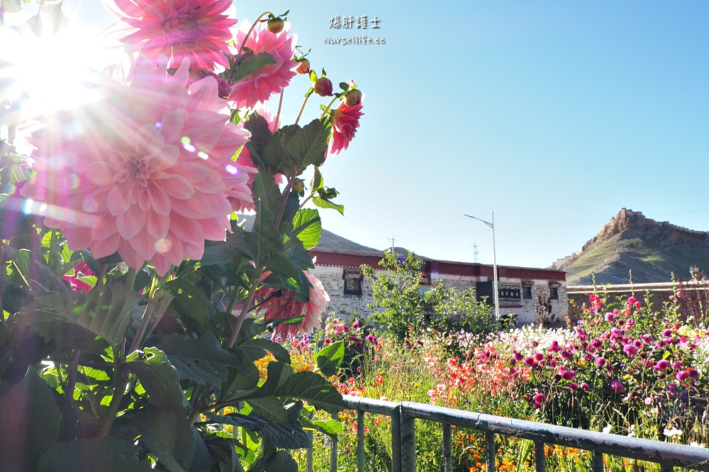 中國、西藏｜日喀則白居寺．十萬佛塔十萬心 - nurseilife.cc