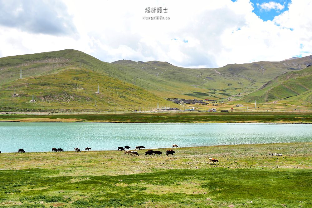 中國、西藏｜羊卓雍措聖湖的夢幻碧藍．隨著攀上甘巴拉山而感動 - nurseilife.cc