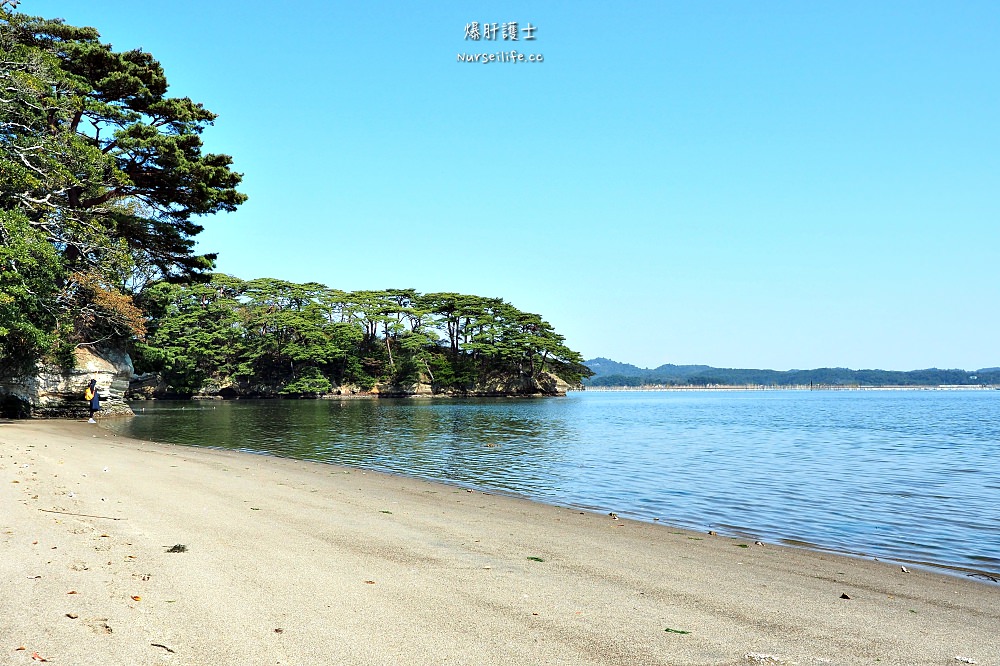 樂桃直飛仙台｜牛舌、牡蠣、松島日本三景一日生活圈 - nurseilife.cc