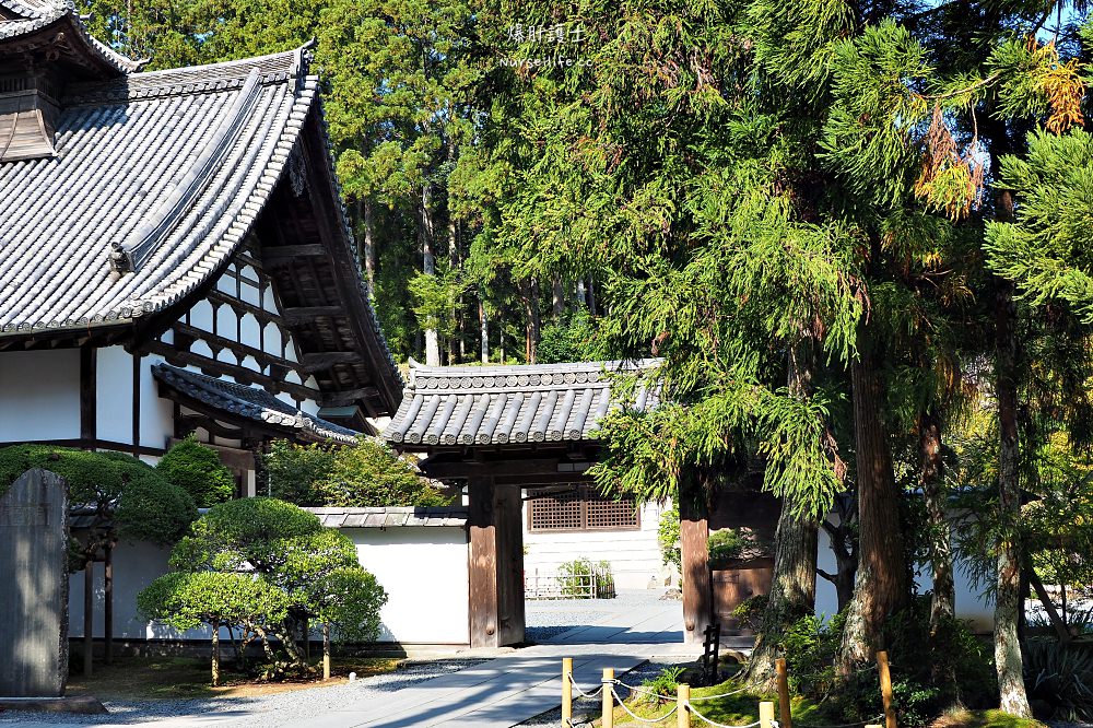 樂桃直飛仙台｜牛舌、牡蠣、松島日本三景一日生活圈 - nurseilife.cc