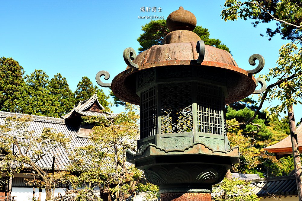 樂桃直飛仙台｜牛舌、牡蠣、松島日本三景一日生活圈 - nurseilife.cc