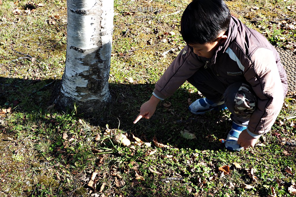 北海道、釧路｜山花露營場．有野生鹿出沒的豪華露營地 - nurseilife.cc