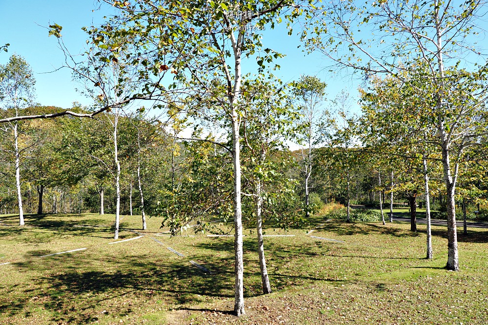 北海道、釧路｜山花露營場．有野生鹿出沒的豪華露營地 - nurseilife.cc