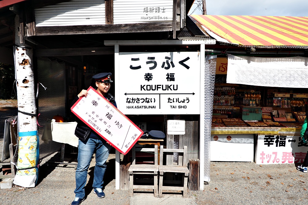 北海道、帶廣｜幸福車站．浪漫的戀人鐵道 - nurseilife.cc