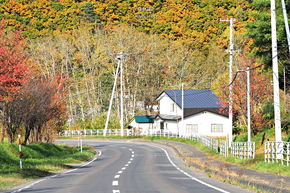 北海道、美瑛｜青池．秋色打翻一池tiffany藍 - nurseilife.cc