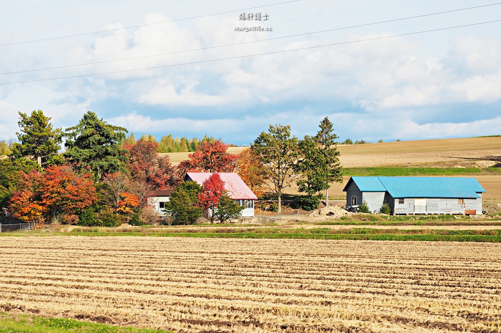 北海道、美瑛｜青池．秋色打翻一池tiffany藍 - nurseilife.cc