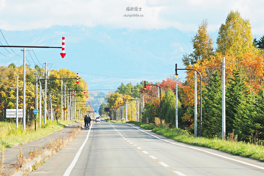 北海道、美瑛｜青池．秋色打翻一池tiffany藍 - nurseilife.cc