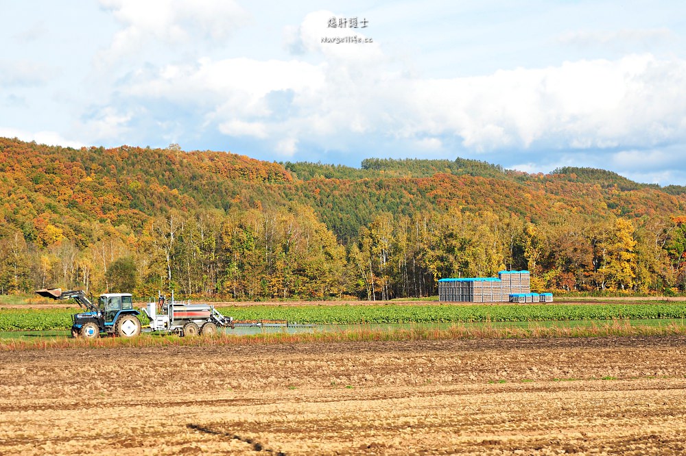 北海道、美瑛｜青池．秋色打翻一池tiffany藍 - nurseilife.cc