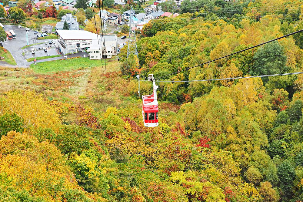 北海道、小樽｜秋季天狗山纜車之旅．徜徉在楓紅幸福中 - nurseilife.cc