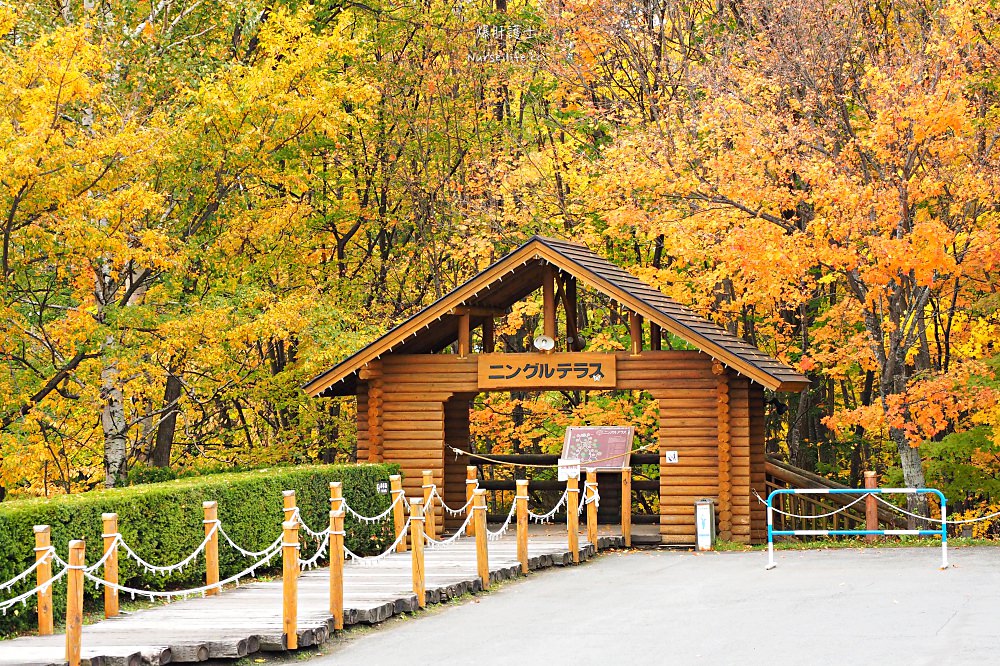 北海道｜妖精森林．優美秋色不過是新富良野王子住客的休憩地 - nurseilife.cc