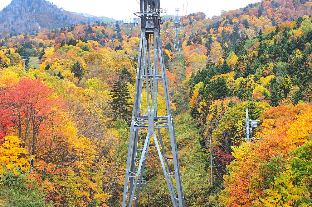 北海道｜富良野纜車．期間限定的一覽秋意 - nurseilife.cc