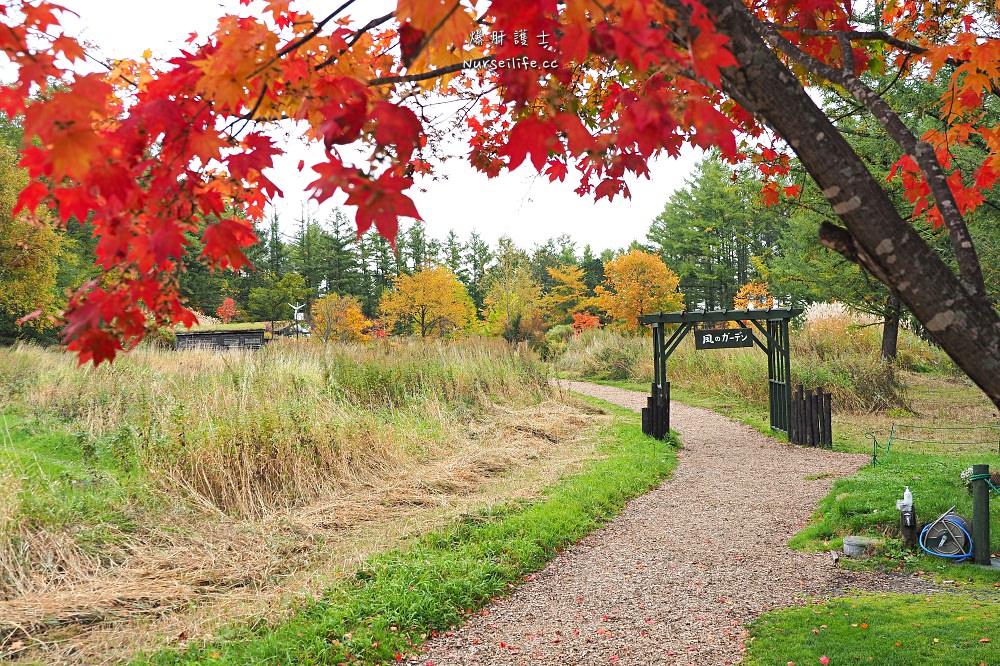 北海道、富良野｜風之花園．森林裡的英式花園 - nurseilife.cc