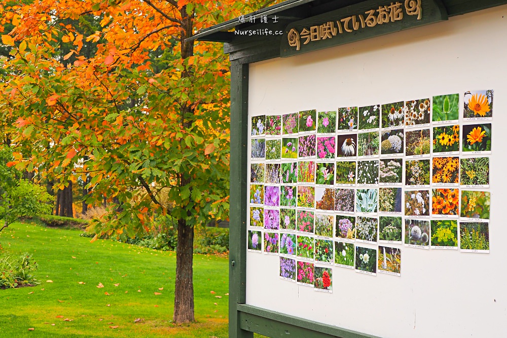 北海道、富良野｜風之花園．森林裡的英式花園 - nurseilife.cc