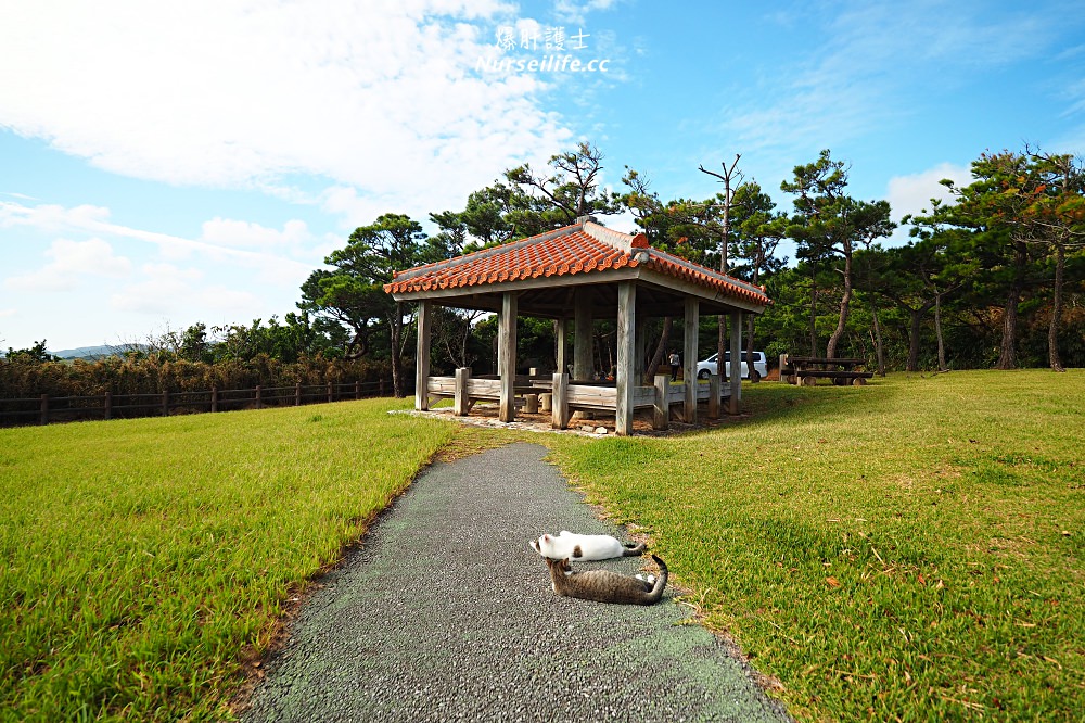 沖繩、久米島｜黒石の森．貓奴秘境 - nurseilife.cc