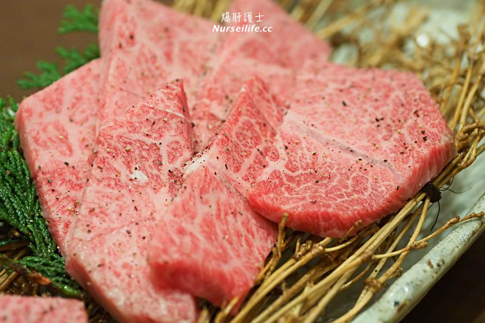 大阪｜黑毛和牛燒肉！肉處 阿倍野 きっしゃん - nurseilife.cc