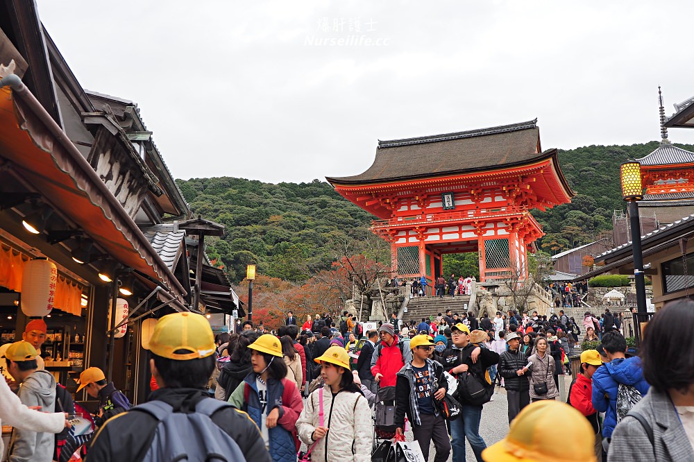 大阪出發｜伏見稻荷大社＋清水寺＋東大寺・奈良公園巴士一日遊 - nurseilife.cc