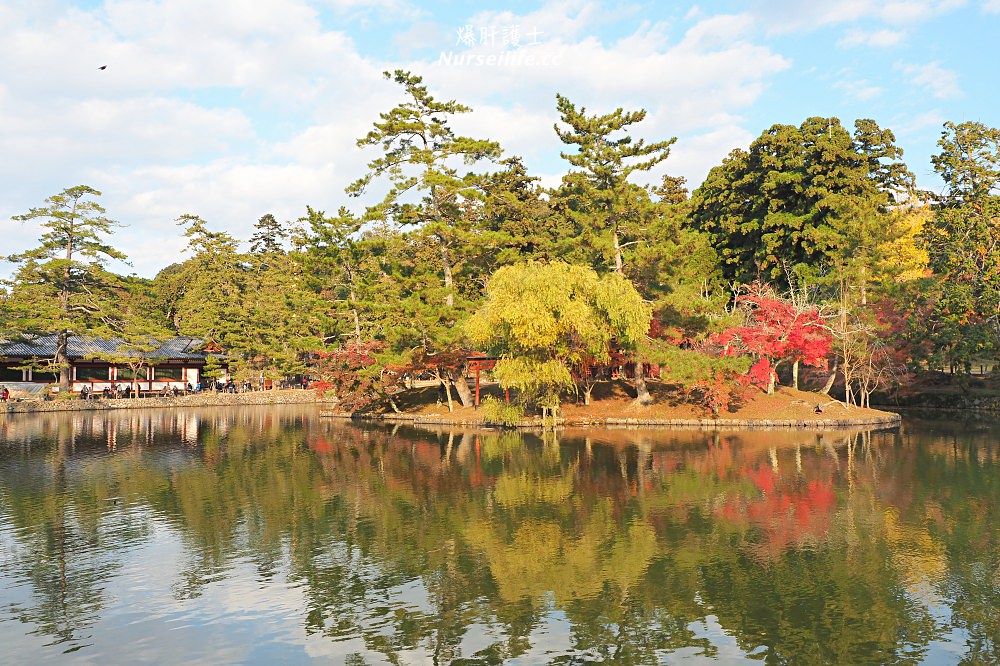 大阪出發｜伏見稻荷大社＋清水寺＋東大寺・奈良公園巴士一日遊 - nurseilife.cc