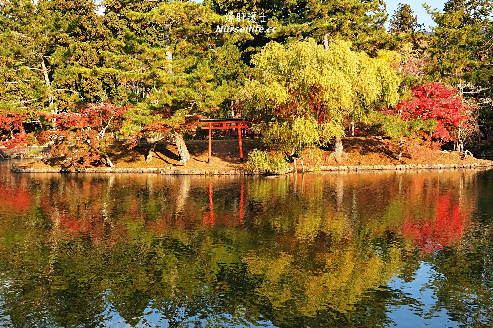 大阪出發｜伏見稻荷大社＋清水寺＋東大寺・奈良公園巴士一日遊 - nurseilife.cc