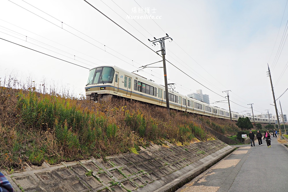 京都｜嵐山楓葉季限定．京馬車、保津川遊船、漫步天龍寺、美足按摩 - nurseilife.cc