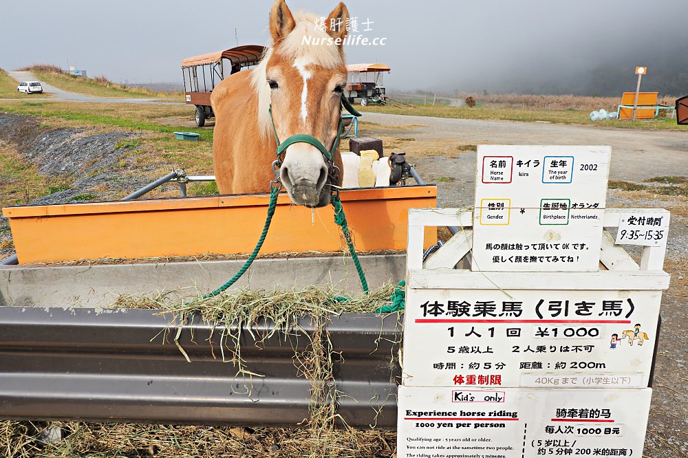 京都｜嵐山楓葉季限定．京馬車、保津川遊船、漫步天龍寺、美足按摩 - nurseilife.cc