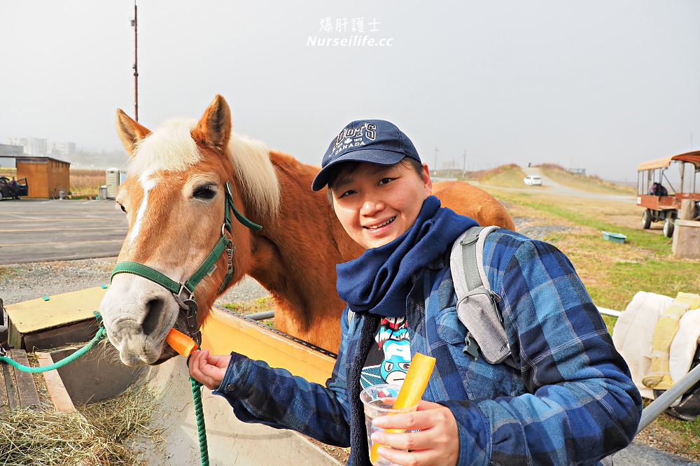 京都｜嵐山楓葉季限定．京馬車、保津川遊船、漫步天龍寺、美足按摩 - nurseilife.cc