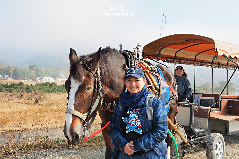 京都｜嵐山楓葉季限定．京馬車、保津川遊船、漫步天龍寺、美足按摩 - nurseilife.cc