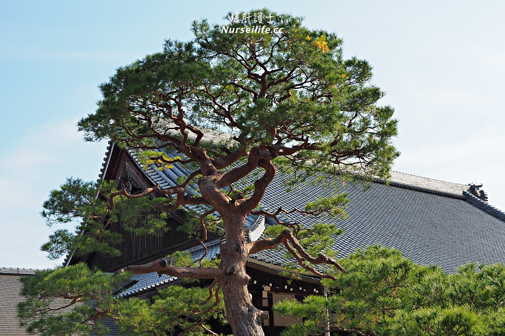 京都｜嵐山楓葉季限定．京馬車、保津川遊船、漫步天龍寺、美足按摩 - nurseilife.cc