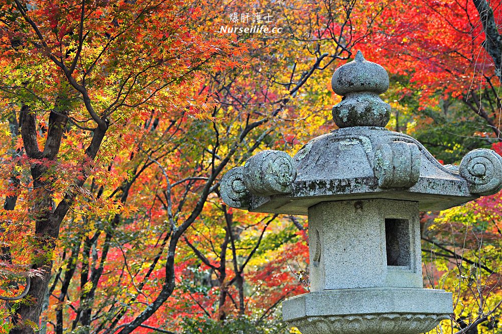 京都｜嵐山楓葉季限定．京馬車、保津川遊船、漫步天龍寺、美足按摩 - nurseilife.cc