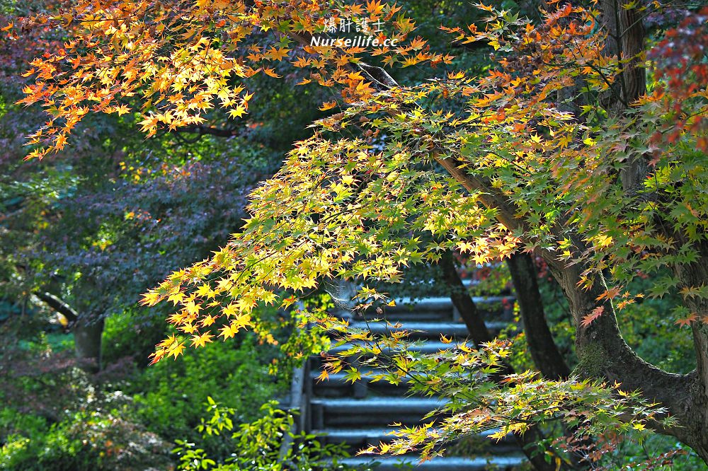 京都｜嵐山楓葉季限定．京馬車、保津川遊船、漫步天龍寺、美足按摩 - nurseilife.cc