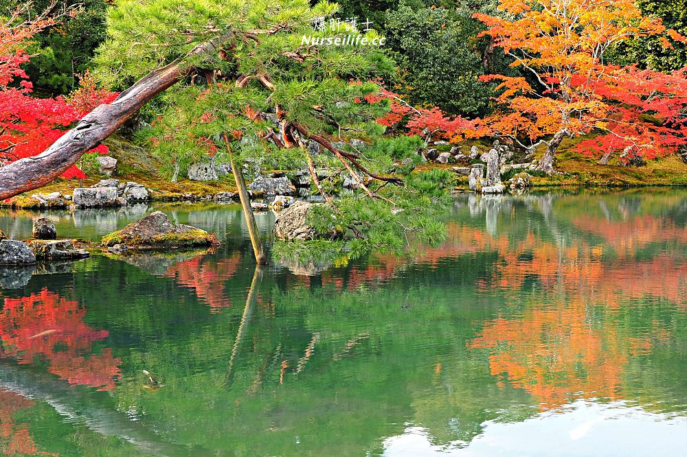 京都｜嵐山楓葉季限定．京馬車、保津川遊船、漫步天龍寺、美足按摩 - nurseilife.cc