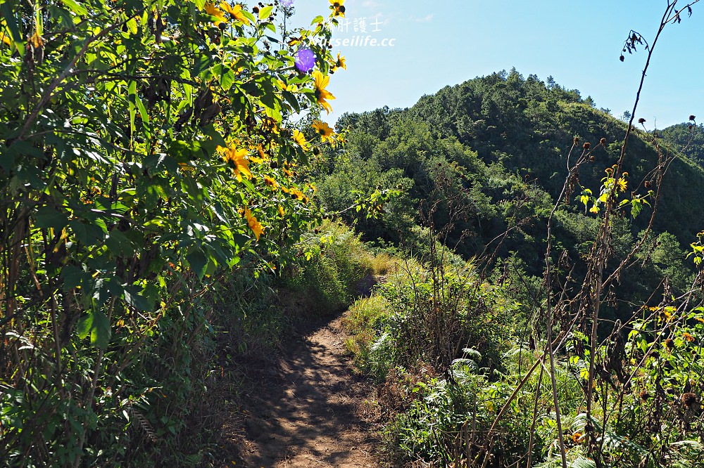 菲律賓、碧瑤｜Mt. Ulap．沒死剩半條命的健行 - nurseilife.cc