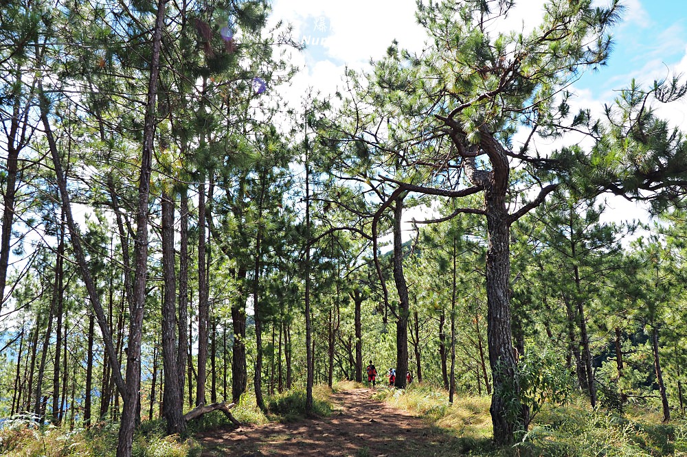 菲律賓、碧瑤｜Mt. Ulap．沒死剩半條命的健行 - nurseilife.cc