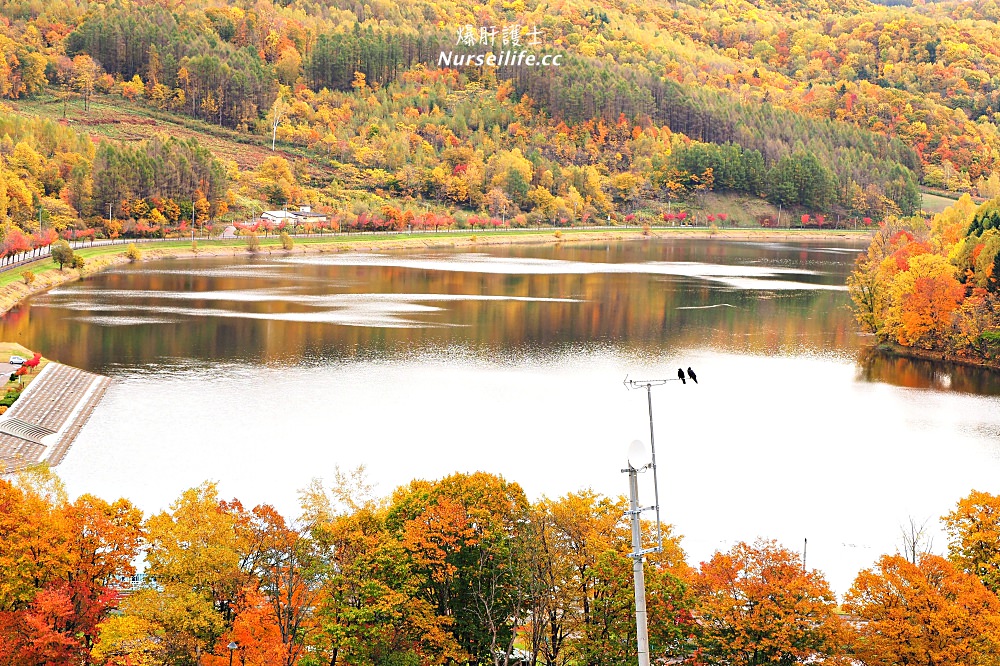 北海道｜劍淵溫泉繪本故鄉家族旅行村．最超值的景觀露營地 - nurseilife.cc