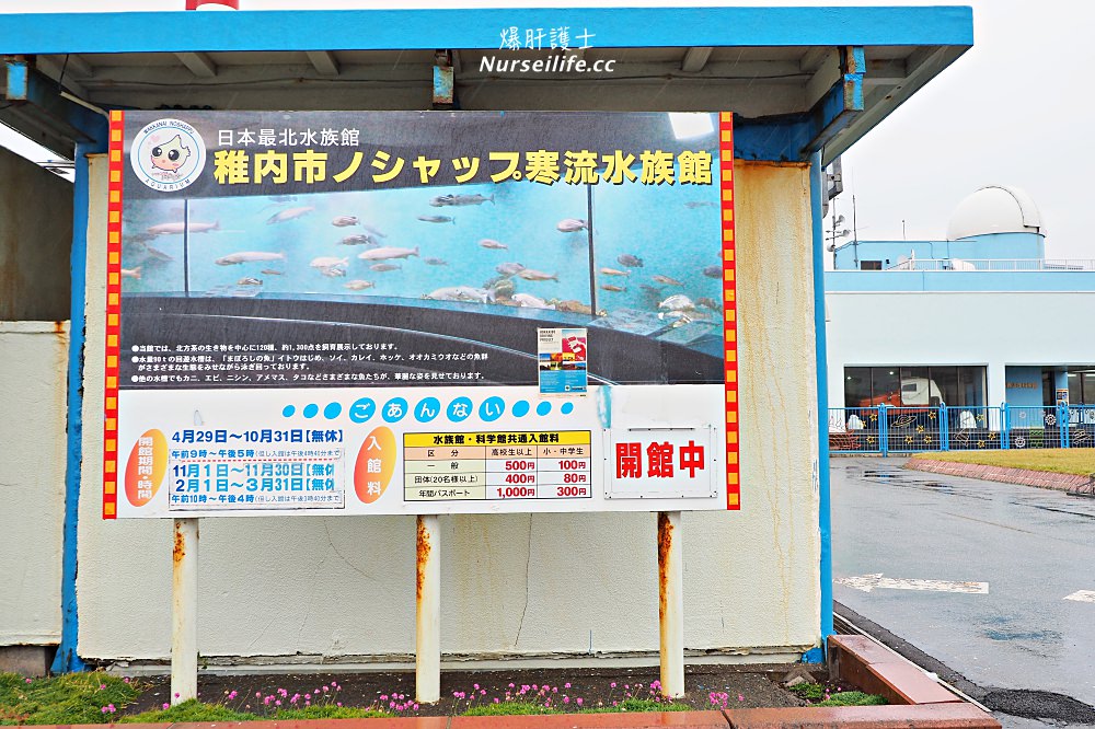 北海道｜野寒布寒流水族館、青少年科學館．最靠北的餵海豹之旅 - nurseilife.cc