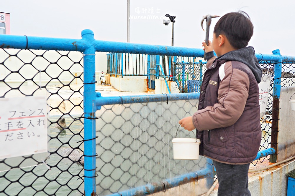 北海道｜野寒布寒流水族館、青少年科學館．最靠北的餵海豹之旅 - nurseilife.cc