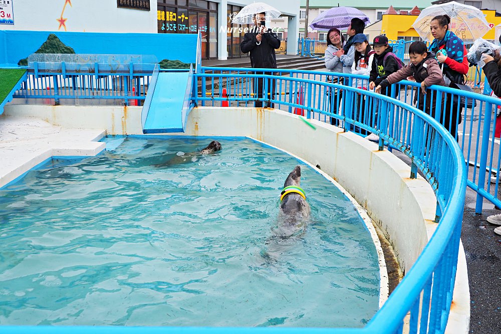 北海道｜野寒布寒流水族館、青少年科學館．最靠北的餵海豹之旅 - nurseilife.cc