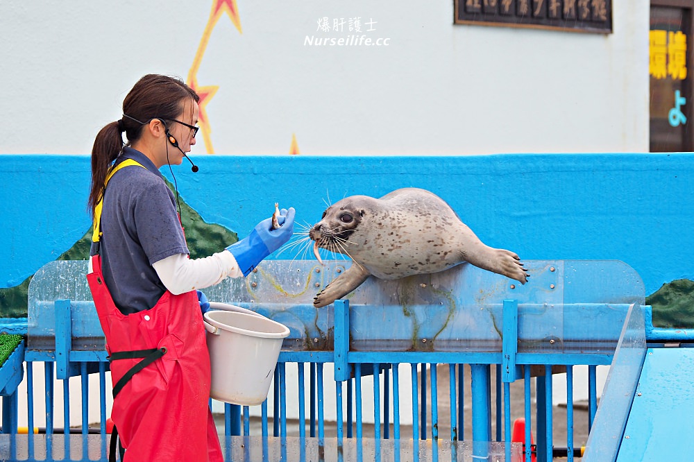 北海道｜野寒布寒流水族館、青少年科學館．最靠北的餵海豹之旅 - nurseilife.cc