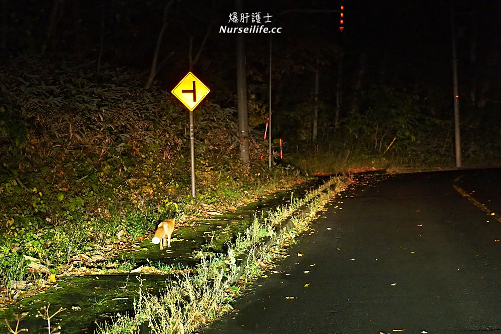 北海道｜ちゃっぷ林館．可以眺望駒岳山的天然溫泉 - nurseilife.cc