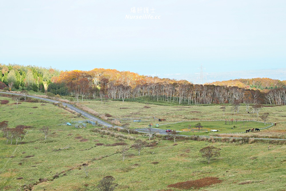 北海道｜木地挽(きじひき)高原．登高眺望駒岳美景 - nurseilife.cc