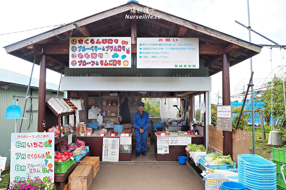 北海道｜築城果樹園．七飯町的採蘋果之旅 - nurseilife.cc