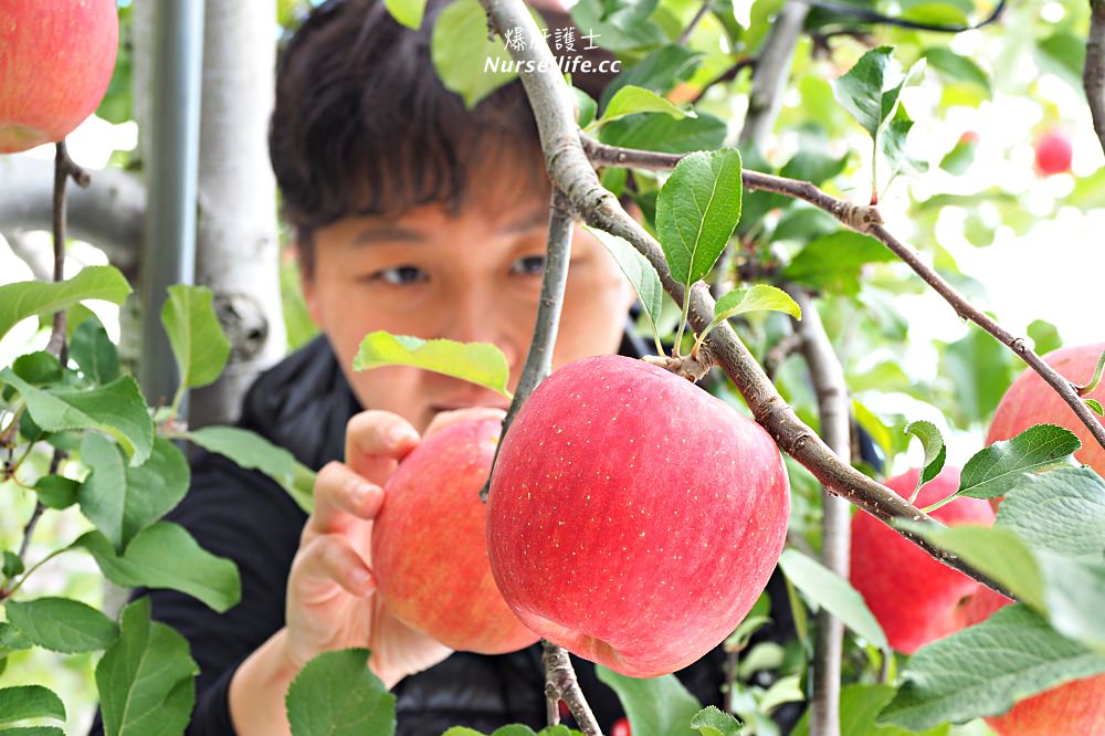 北海道｜築城果樹園．七飯町的採蘋果之旅 - nurseilife.cc