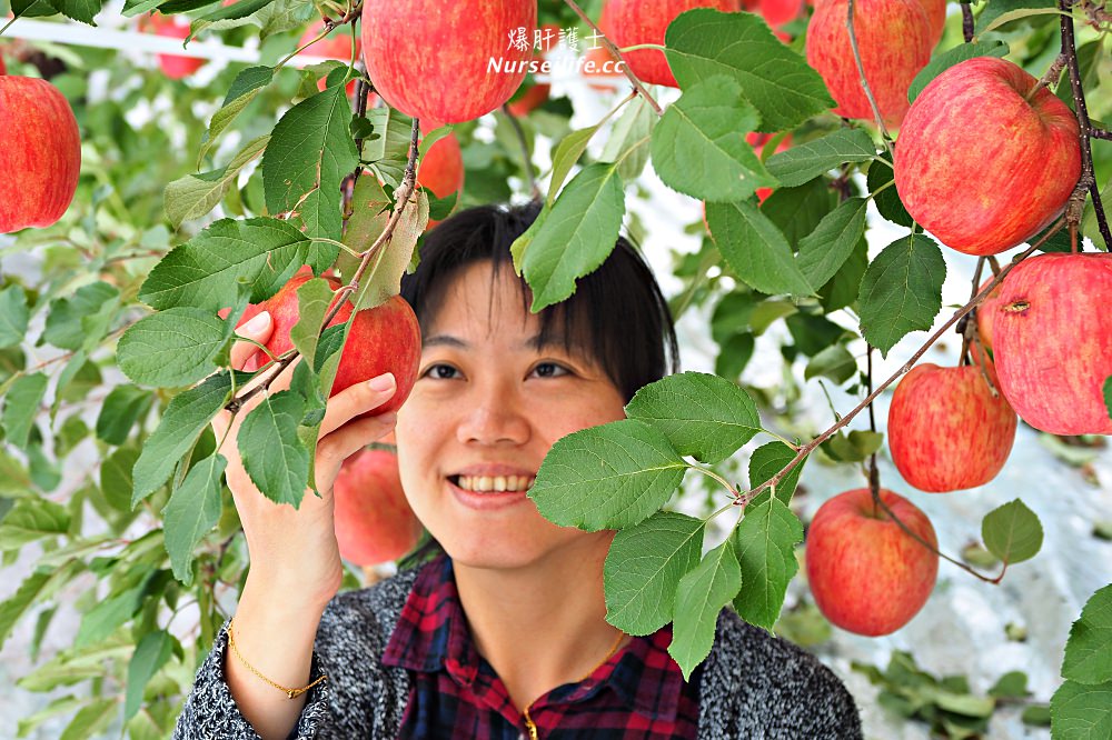 北海道｜築城果樹園．七飯町的採蘋果之旅 - nurseilife.cc