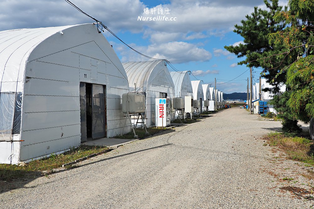 北海道｜福田農園王様しいたけ．得獎的大王香菇 - nurseilife.cc