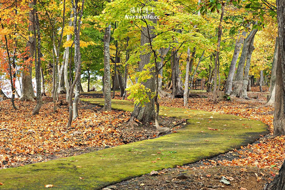 北海道｜洞爺水辺の里財田露營場﹒洞爺湖旁的豪華住宿 - nurseilife.cc