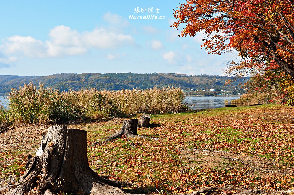 北海道｜洞爺水辺の里財田露營場﹒洞爺湖旁的豪華住宿 - nurseilife.cc