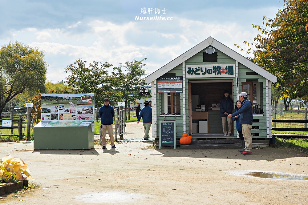 北海道｜えこりん村（みどりの牧場、花の牧場）．羊駝超療癒 - nurseilife.cc