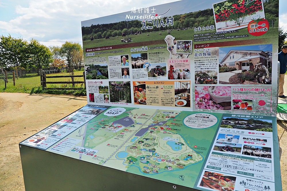 北海道｜えこりん村（みどりの牧場、花の牧場）．羊駝超療癒 - nurseilife.cc