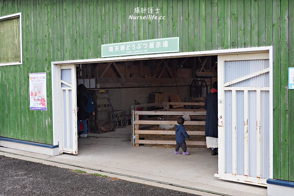 北海道｜えこりん村（みどりの牧場、花の牧場）．羊駝超療癒 - nurseilife.cc