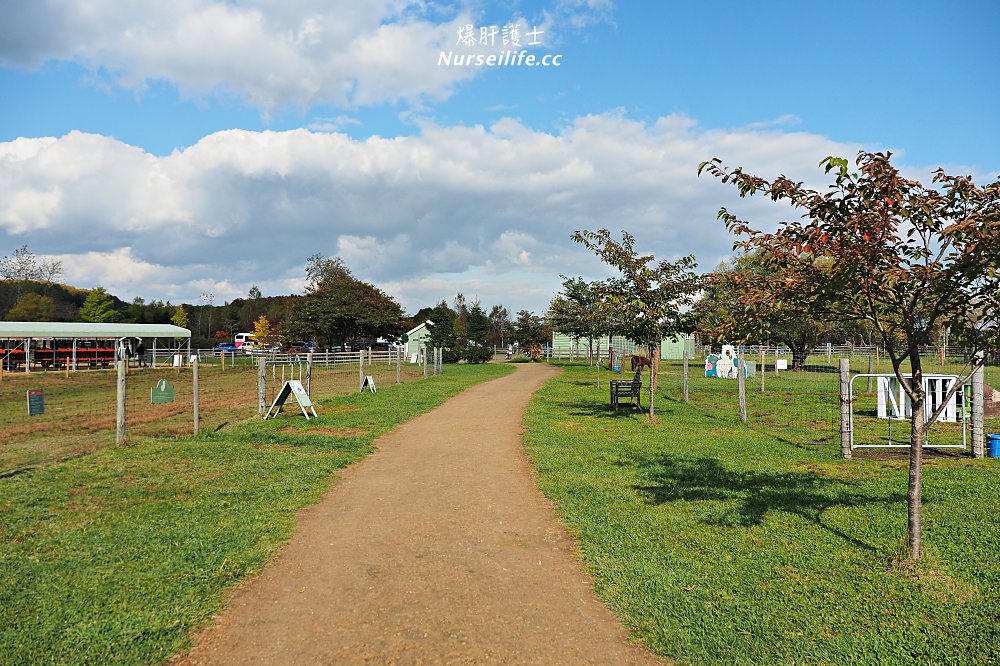 北海道｜えこりん村（みどりの牧場、花の牧場）．羊駝超療癒 - nurseilife.cc