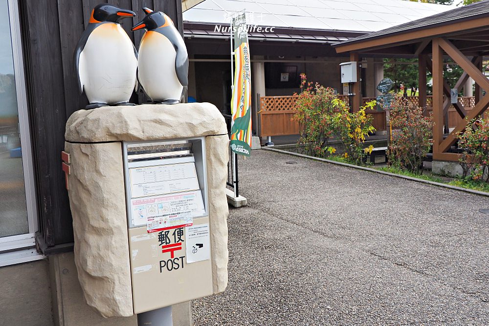 北海道｜旭山動物園．NG動物好療癒 - nurseilife.cc